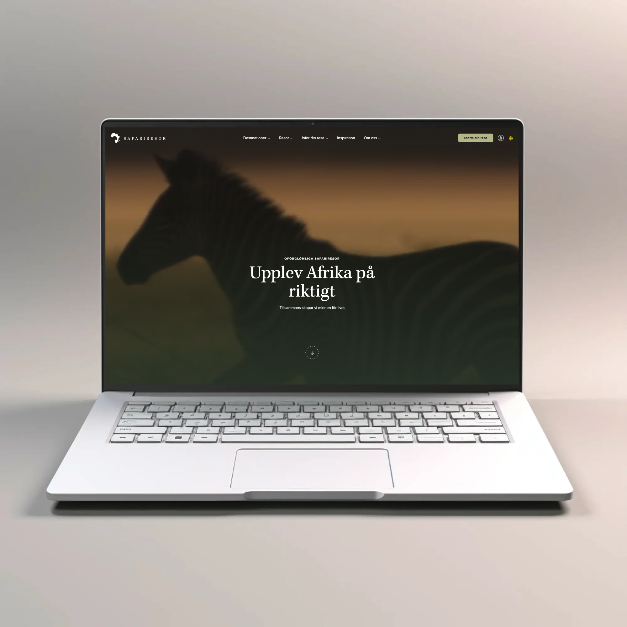 safari